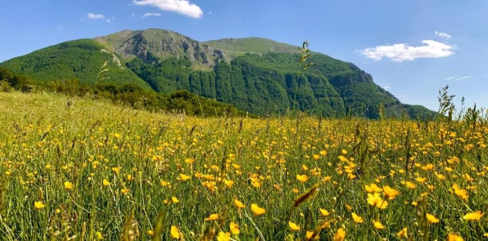 viaggiare in basilicata: trekking e hiking per donne