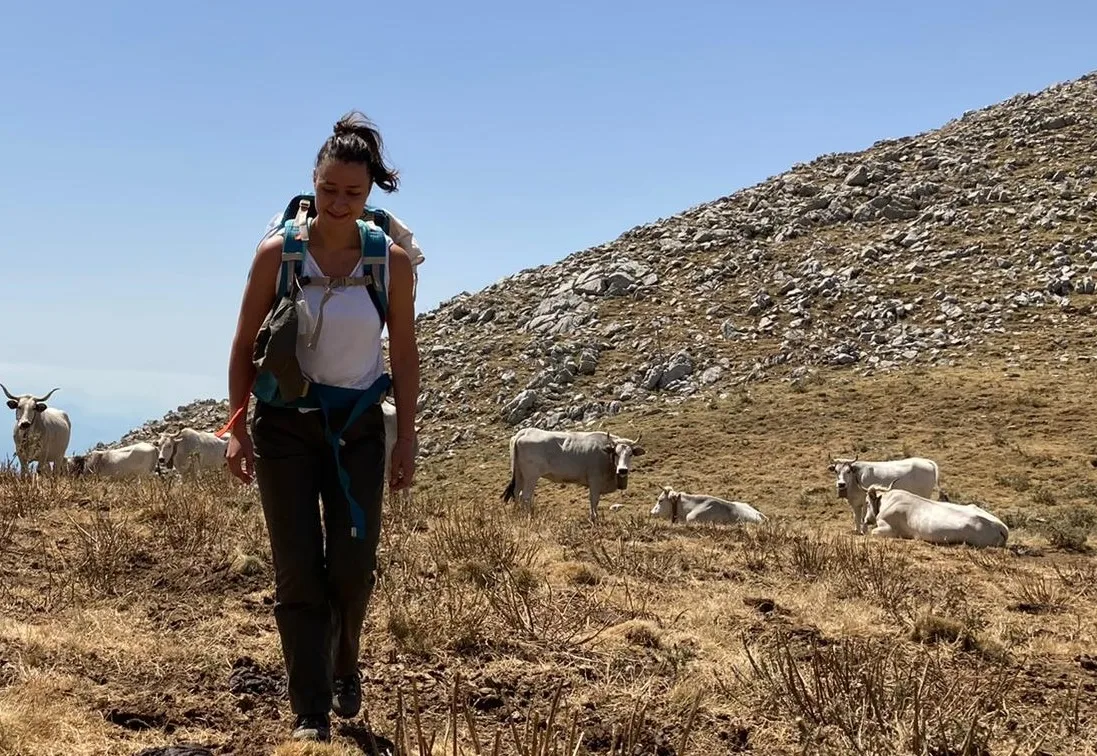 Basilicata selvaggia